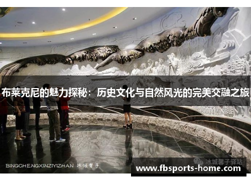 布莱克尼的魅力探秘：历史文化与自然风光的完美交融之旅